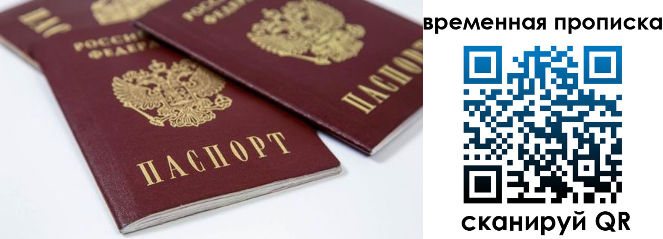 прописка для школы в Жуковке